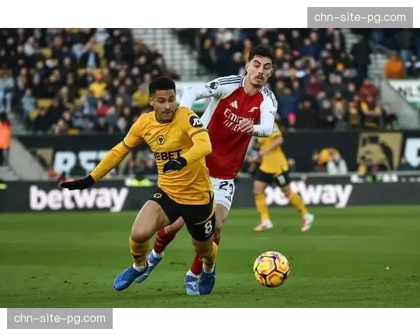 布莱顿中场若昂戈麦斯攻防俱佳 巴西国脚成球队中场核心